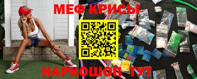 стаф Аргун