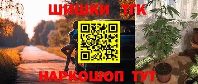 стаф Аргун