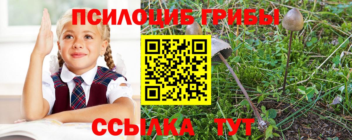 Псилоцибиновые грибы ЛСД Батайск