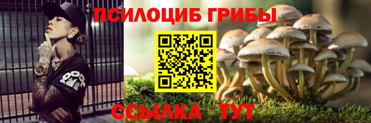 Галлюциногенные грибы Psilocybe  Вход с VPN  Батайск 